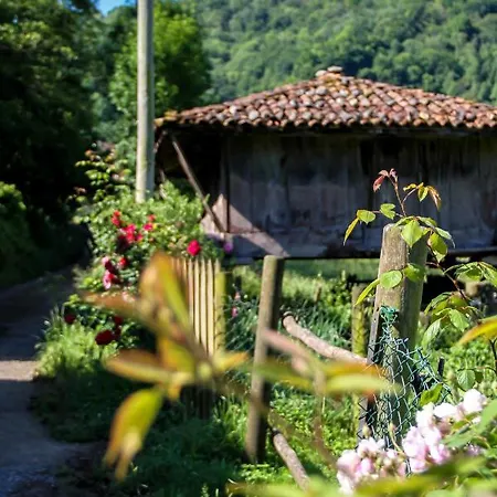 Casa Clarita * Caño